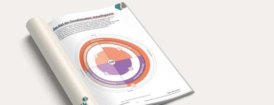 INSIGHTS MDI® misst die emotionale Intelligenz