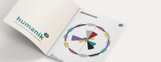 INSIGHTS MDI® misst die Motivation